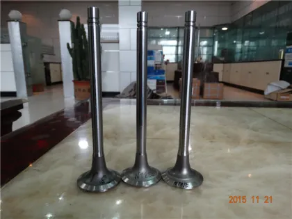 NISSAN Auto Engine Valve Part