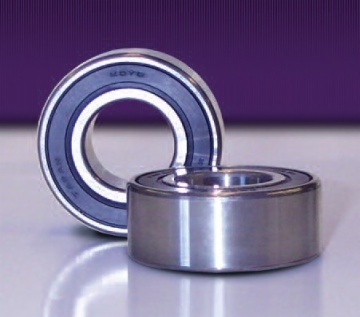 Stainless Steel Double Row Ball Bearings