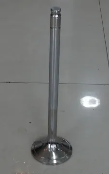 SULZER Series Marine Diesel IN&EX Engine Valve