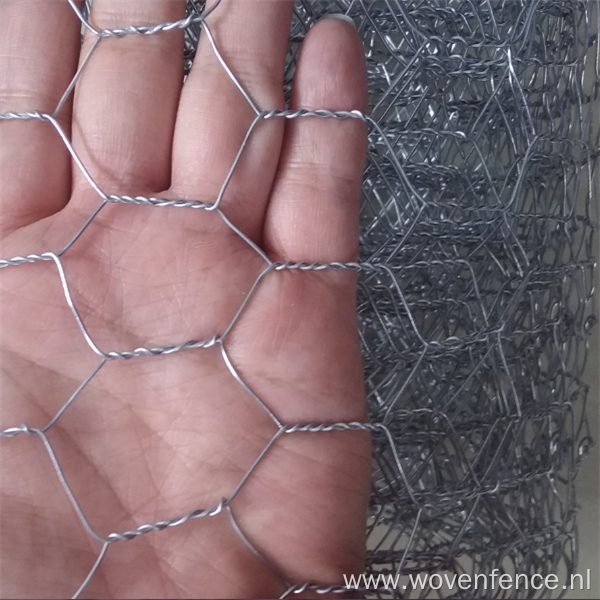 Chicken wire poultry Netting