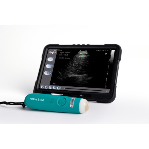 SmartScan D sheep pregnancy scanning equipment
