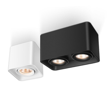 Luxury Single Head 15W Anti Glare Adjustable Hotel LED COB Surface Mounted Downlight