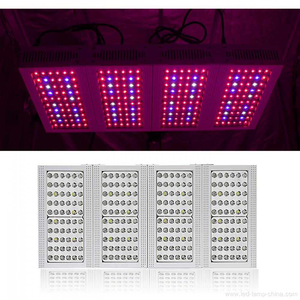 60*5W LED grow light