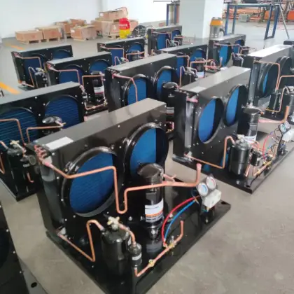 Open Type Cold Room Copeland Refrigeration Unit for Cold Storage