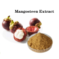 Buy online active ingredients Mangosteen Extract powder