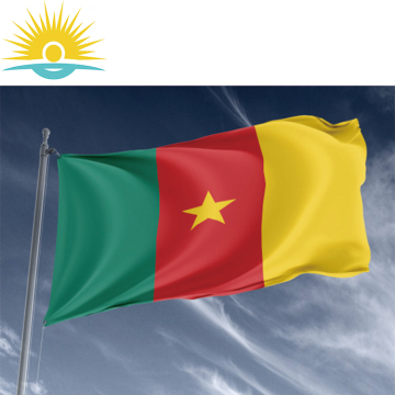 Sunshine Custom Cameroon Flags 3x5 ft Green Red Yellow Star Flag for Exchange