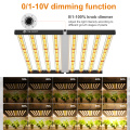 640W Foldable Grow Light Indoor Medical Cultivation