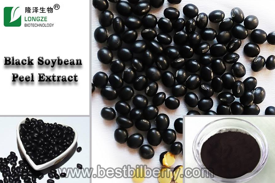 black soybean peel powder
