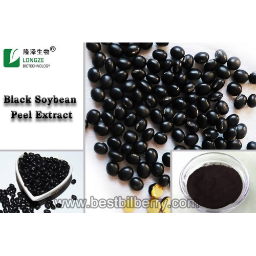 Black Soybean Peel Extract