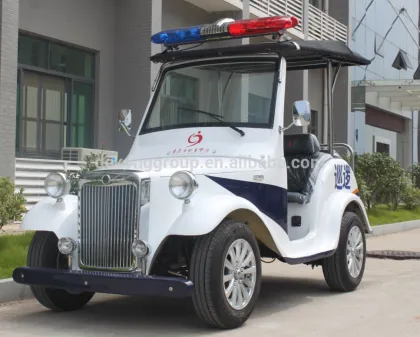 patrol electric car for police