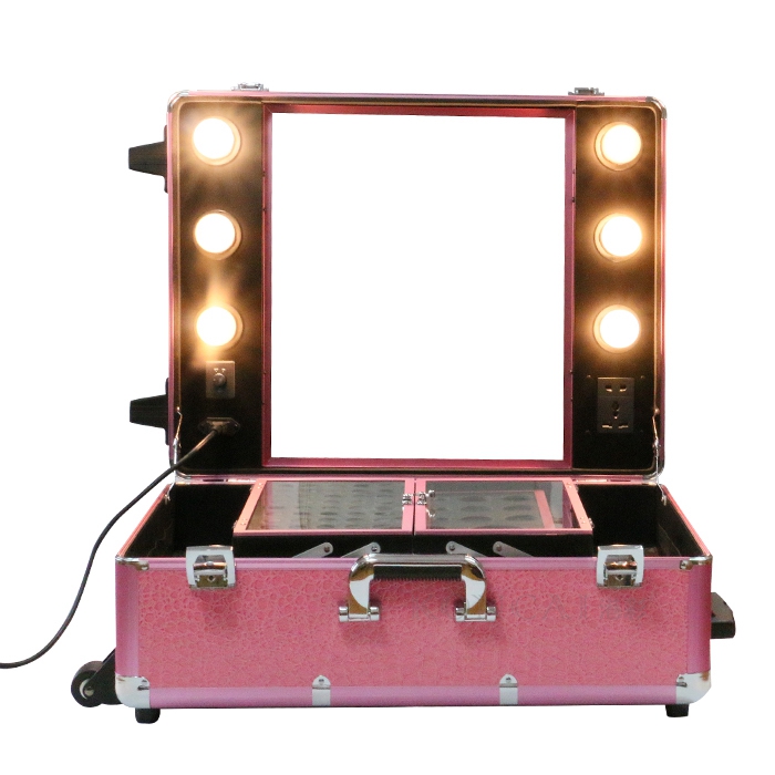 Cosmetic Case with Light