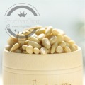 Dry Fruit Pine Nut Kernel Origin