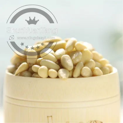 Best price cedar pine nut kernel