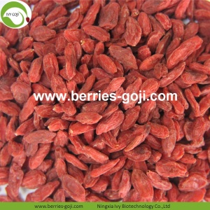 Factory Supply Healthy Dried Natural Goji