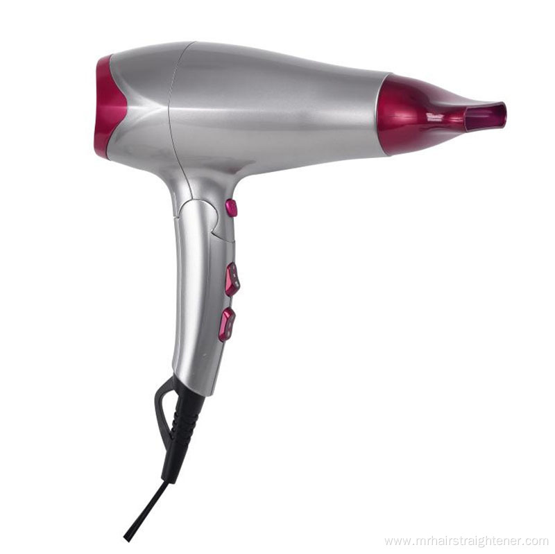 2019 New Professional Salon Beauty Hair Dryer