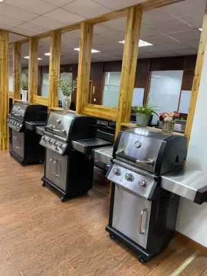 Natural Gas Stove BBQ Grill