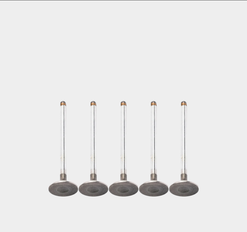 Intake Valves for Diesel & Gas Engines