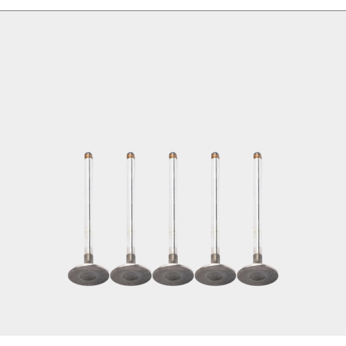 Intake Valve for Engine