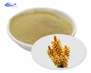 Raw Pine Pollen Powder 100% Natural Pine Pollen