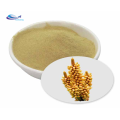 Raw Pine Pollen Powder 100% Natural Pine Pollen