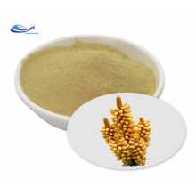 Raw Pine Pollen Powder 100% Natural Pine Pollen