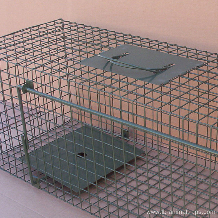 Custom Pet Dogs House Cages