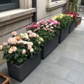 Decorative Rectangular Concrete Planters Outside Flower Pots