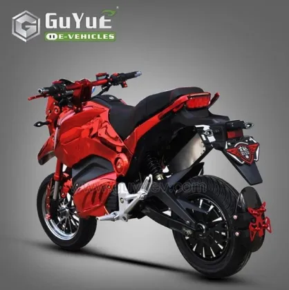 Adult Racing Electric Motorcycle