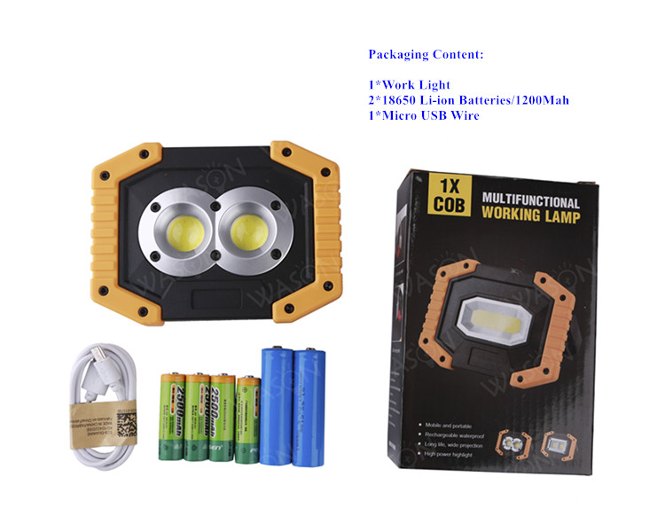 Led Flood Light 