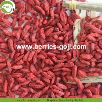 Factory Supply Fruits Nutrition Sexual Strength Goji Berry