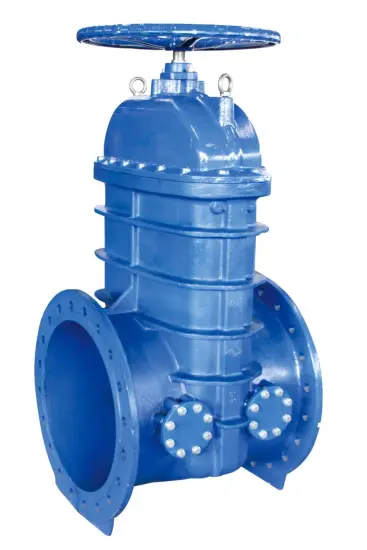 BS 5163 Flanged Resilient NRS Gate Valve with Bypass Outlet