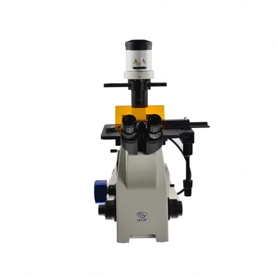 Professional MSLYZ02 Microscope: Infinite Apochromatic Epi Fluorescence Imaging Tool