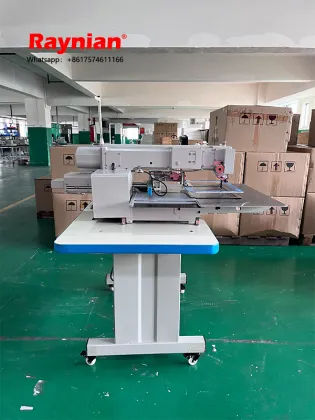 China Factory Wholesale Raynian-30*20F Dahao Programmable Electronic Pattern Sewing Machine