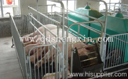 The Farrowing Pig Pen 