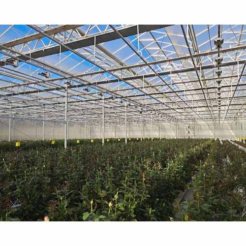 Floral Planting Multi Type Agricultural Planting Greenhouse