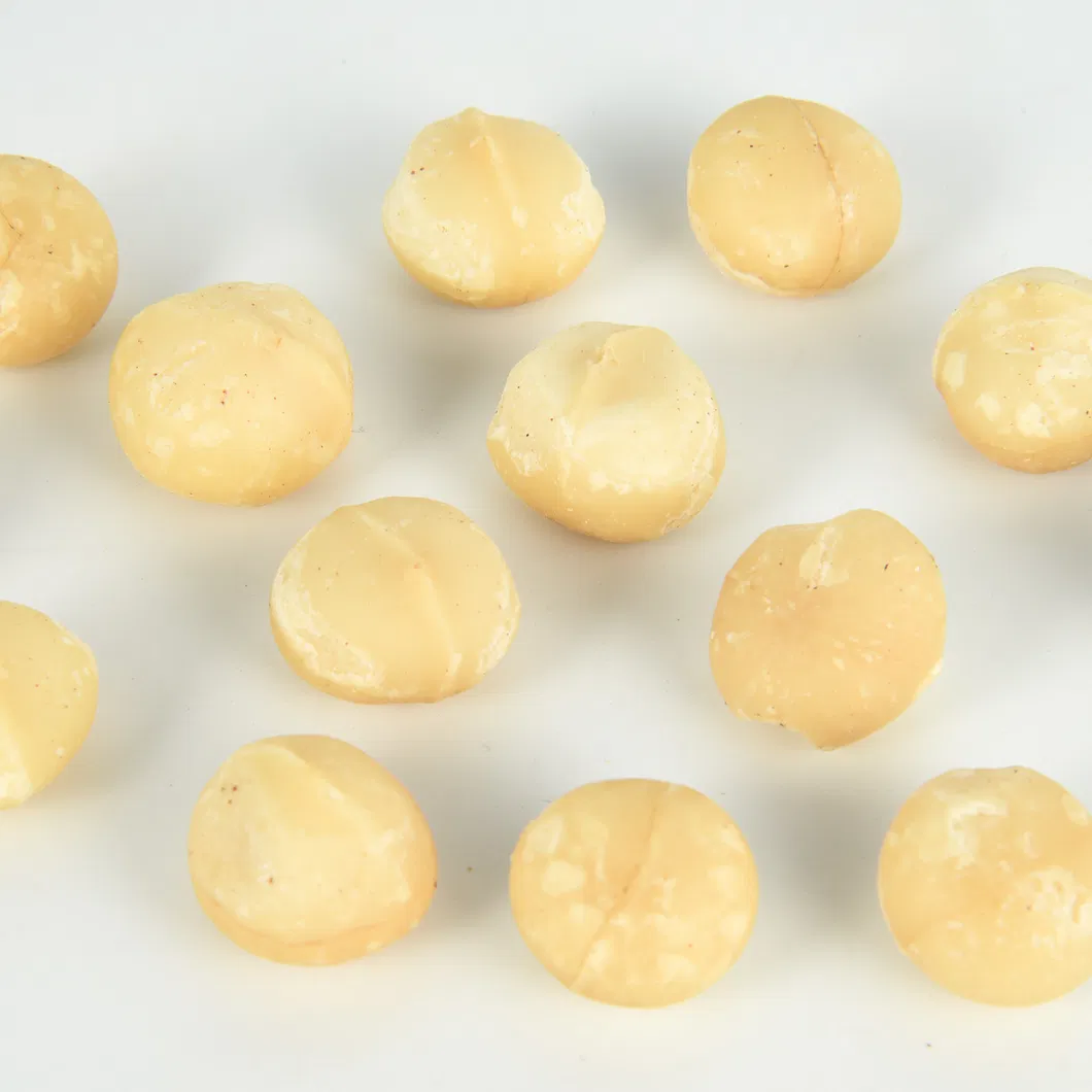 En İyi Tatlar Sağlıklı Yiyecek Atıştırmalıklar Kabuklu Fındık Macadamia Fındığı