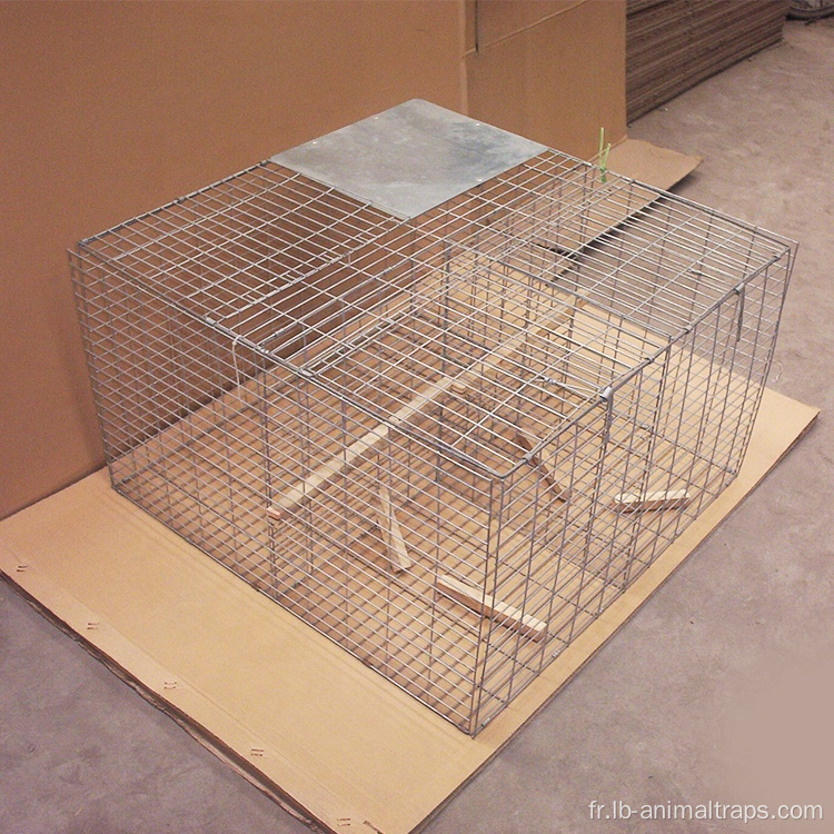 Rat MICE TRAP Cage Humane Live Animal Traps