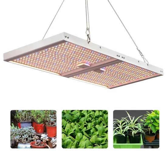 100W Foldable LED Grow Light for Indoor Plant Cultivation