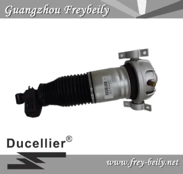 Audi Q7 Volkswagen Tourage Porsche Cayenne Left Rear/ Right Rear Air Suspension Shock 7L5616019D/ 7L5616020D