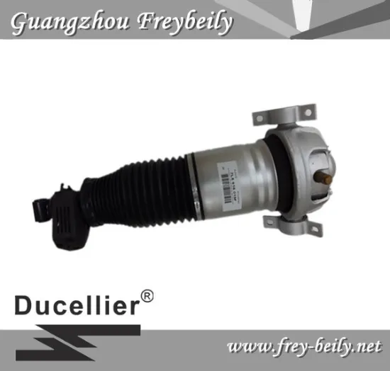 Audi Q7 Volkswagen Tourage Porsche Cayenne Left Rear/ Right Rear Air Suspension Shock 7L5616019D/ 7L5616020D