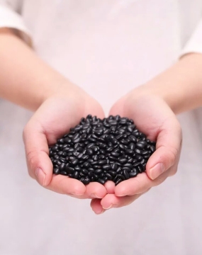 High quality bulk organic black kidney bean