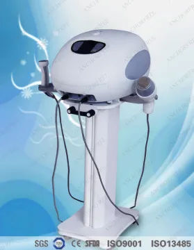 2handles Wrinkle Removal Machine To Acne / Scar Removal