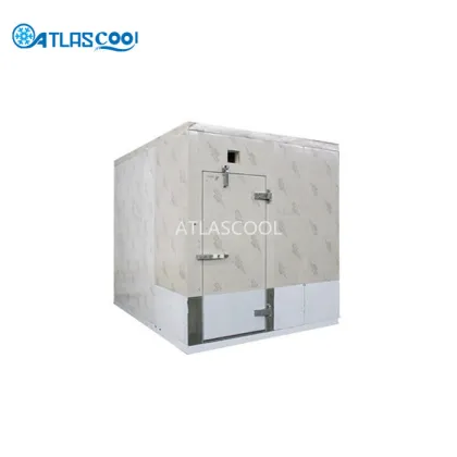 Small Kitchen Cold Room Freezer