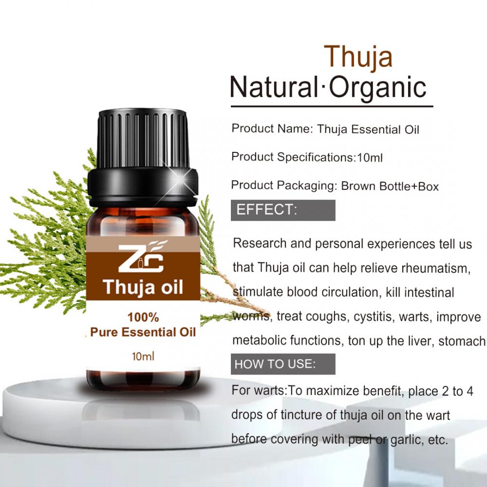 Organics Thuja Oil Essential para difusor de aromaterapia