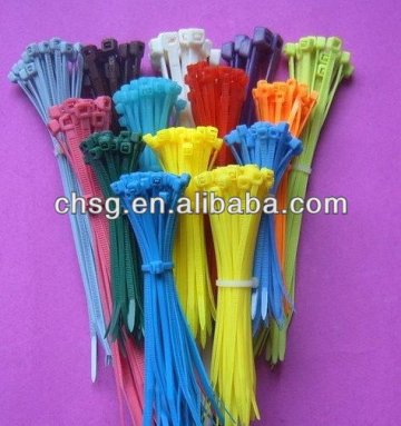 Manufacturer of adjustable cable tie tag (SG)