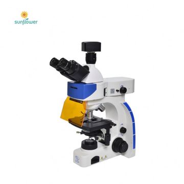 Top-rated Student Monocular Microscope: Best Sellers in the Market