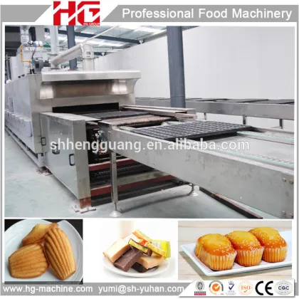 HG full automatic baking oven for cakes