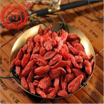 Raw Organic Goji Berry Dried Fruit