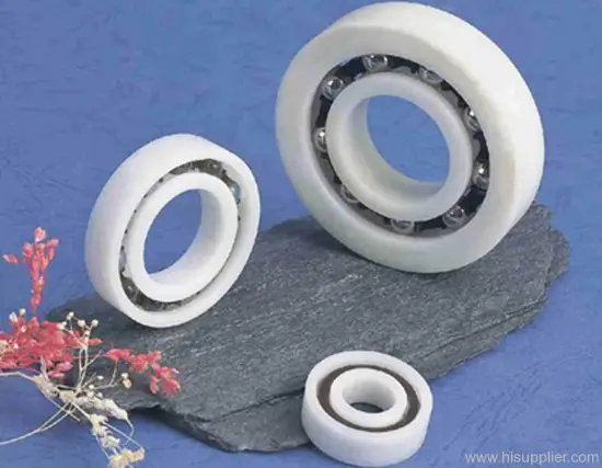Hybrid Bearing 