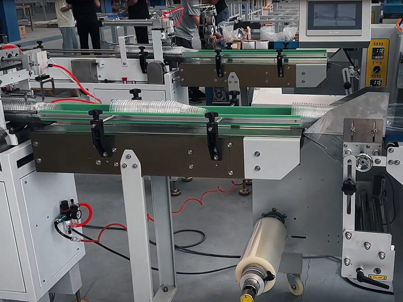 Automatic Pillow Packaging Machine